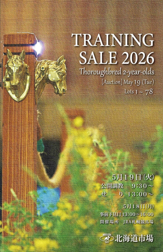 HBAトレーニングセール